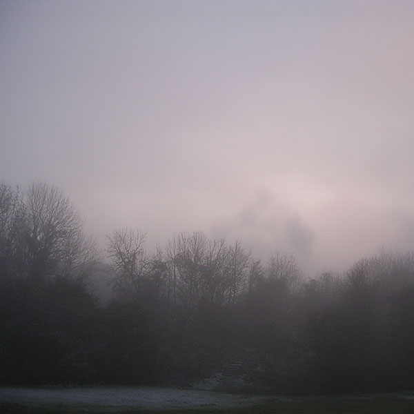 Morning fog atmospheric special effects